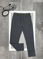 Спортивные штаны Zegna