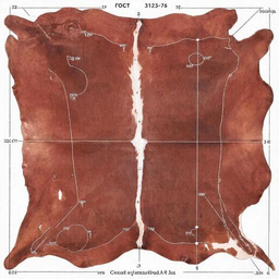 По топографии