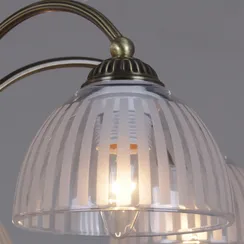 IL0564-8CSQ-25AB ELITE светильник потолочный