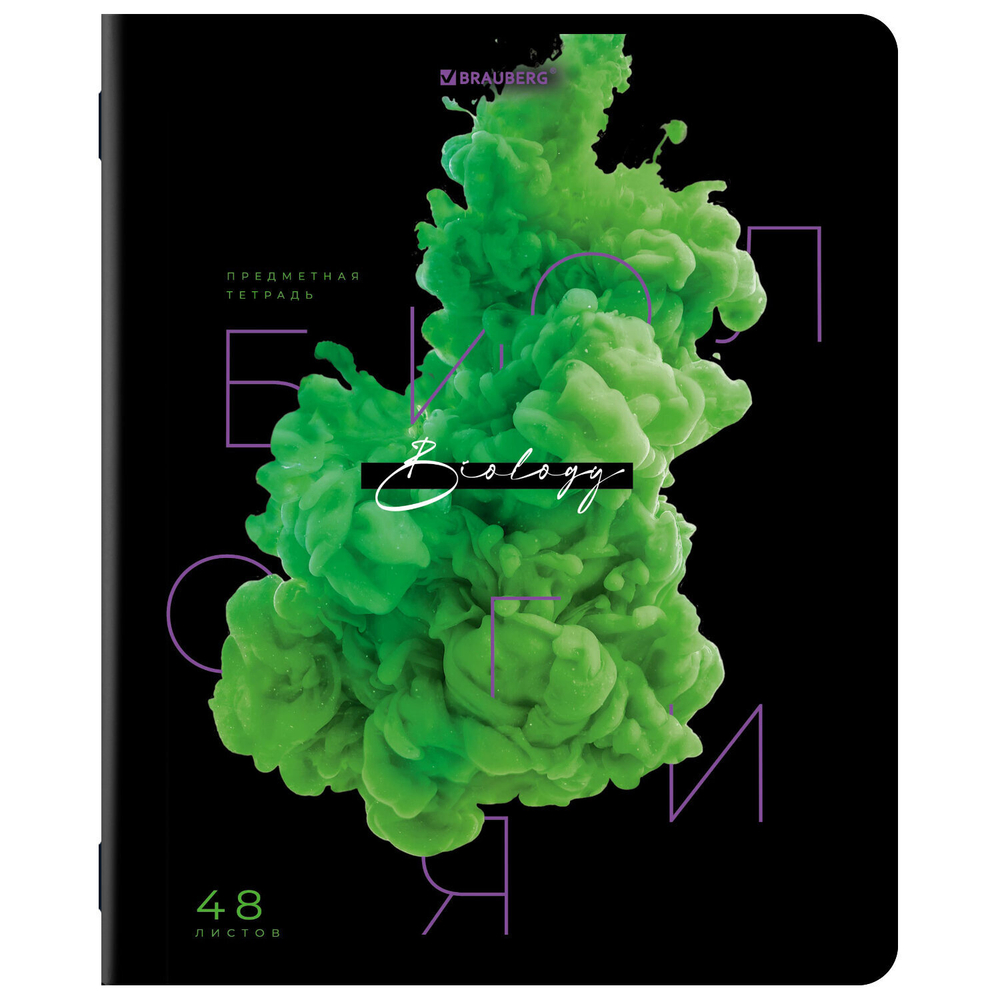 Тетради предметные комплект 12 ПРЕДМЕТОВ 48 л. глянцевый УФ-лак BRAUBERG "PIGMENT" (2 штуки в упаковке)