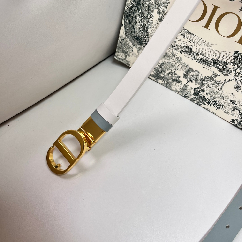 Christian Dior Reversible Belt