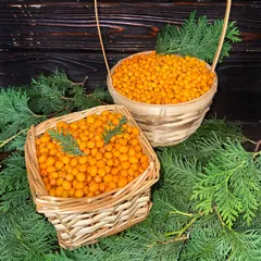 Облепиха свежая / 1 кг