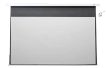 Экран с электроприводом Lumien 244x244 см (1:1) LMC-100105