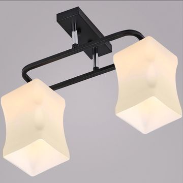 06595-0.3-02 светильник потолочный