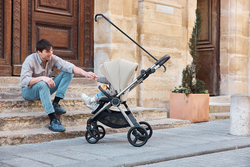 Детская коляска Anex iQ Premium NT 2 в 1 iQ-13-DNA seal