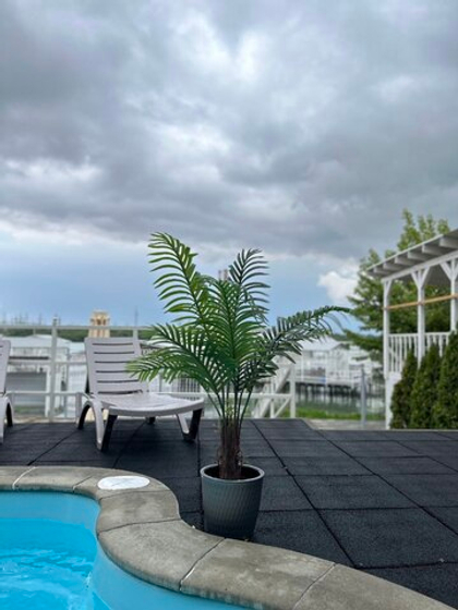 Пальма с одним стволом 120 см в тех.кашпо