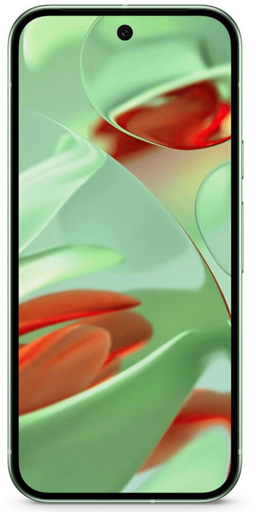 Смартфон Google Pixel 9 12/256GB, Wintergreen