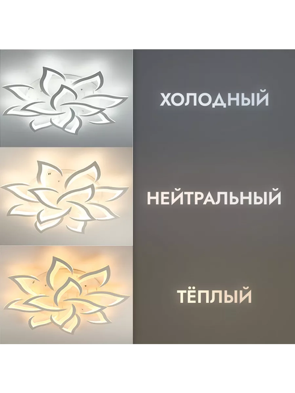 Люстра потолочная светодиодная DF8032/12