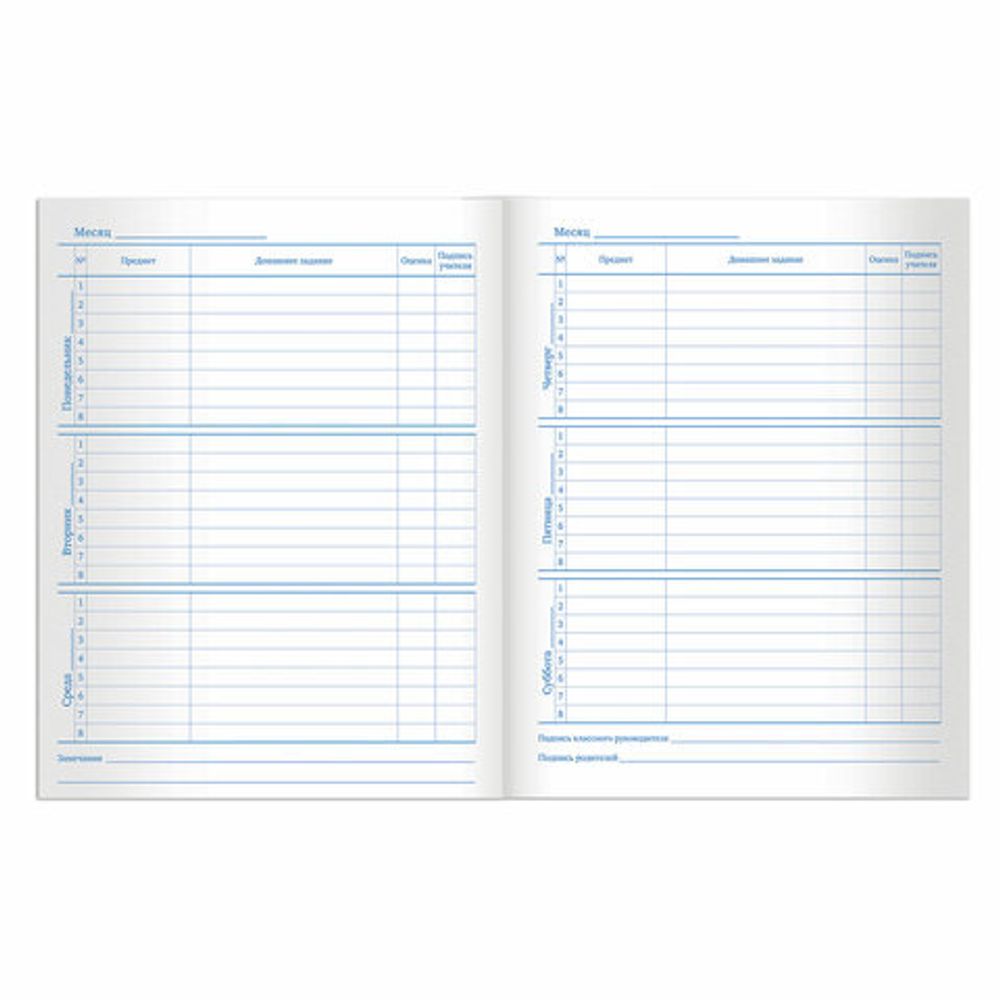 Дневник 5-11 класс 48 л., твердый, BRAUBERG, выборочный лак, с подсказом, "Лемур", 105592