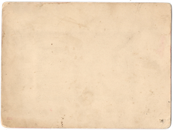 Вид Верхних торговых рядов на Красной площади. Москва. 1900