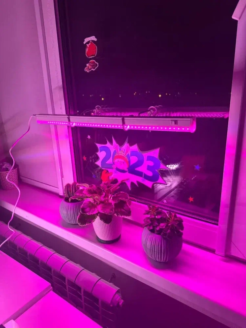 Подставка для фитолампы держатель на присоске, 2шт