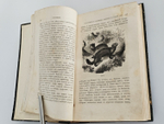 "Путешествие по Сибири и прилегающим к ней странам Центральной Азии." Составили А. фон -Этцель и Г.  Вагнер.  1865 г.