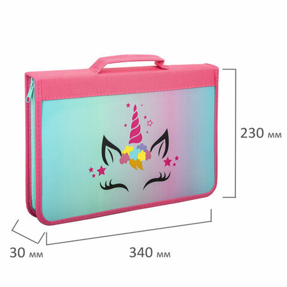 Папка на молнии BRAUBERG А4 с ручкой, с органайзером, 1 отделение, "Unicorn", 271447