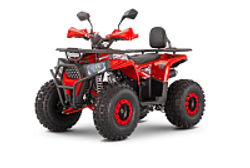 Квадроцикл WELS Trail 125 Pro