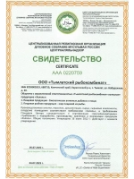 Омега-3 для детей Апельсин 300 мг 250 капсул