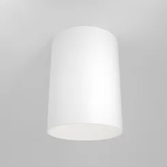 Потолочный светильник Изящность / Slim 1*GU10 10 Вт Technical c014cl-01w
