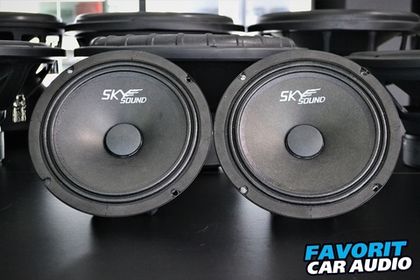 Бюджетные и громкие динамики от Skylor