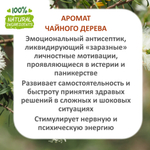 Чайное дерево, отдушка для свечей и мыла