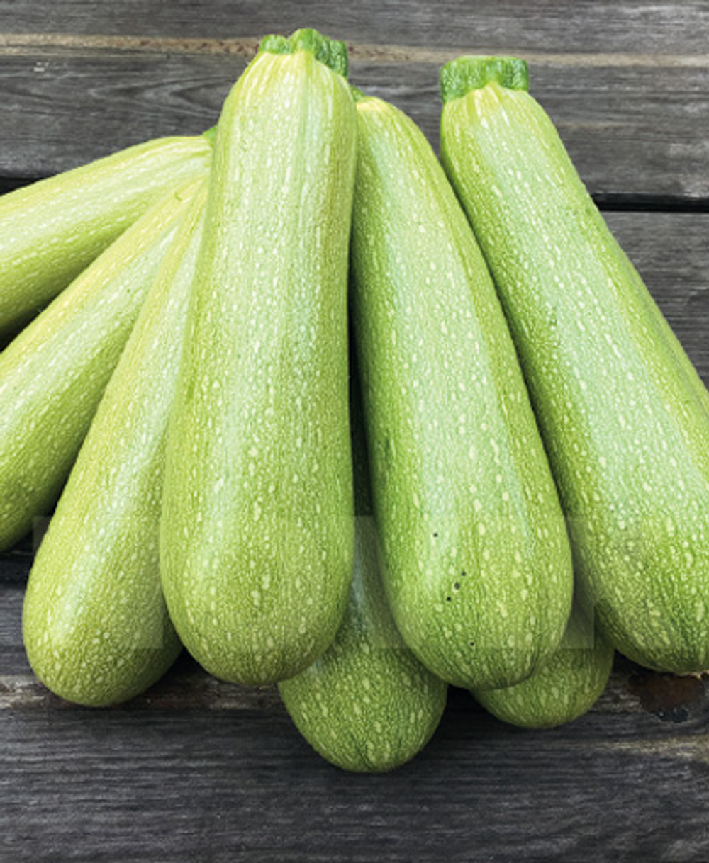 Кабачок Марселла F1 5шт Мировые Семена VITA GREEN