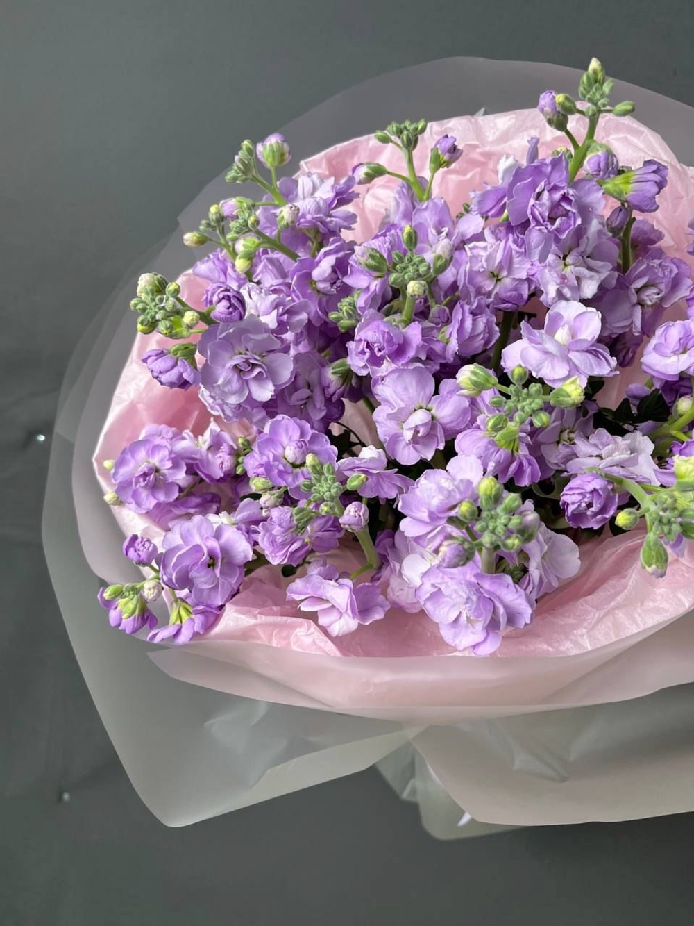 Ароматная маттиола «Аромат ночи»