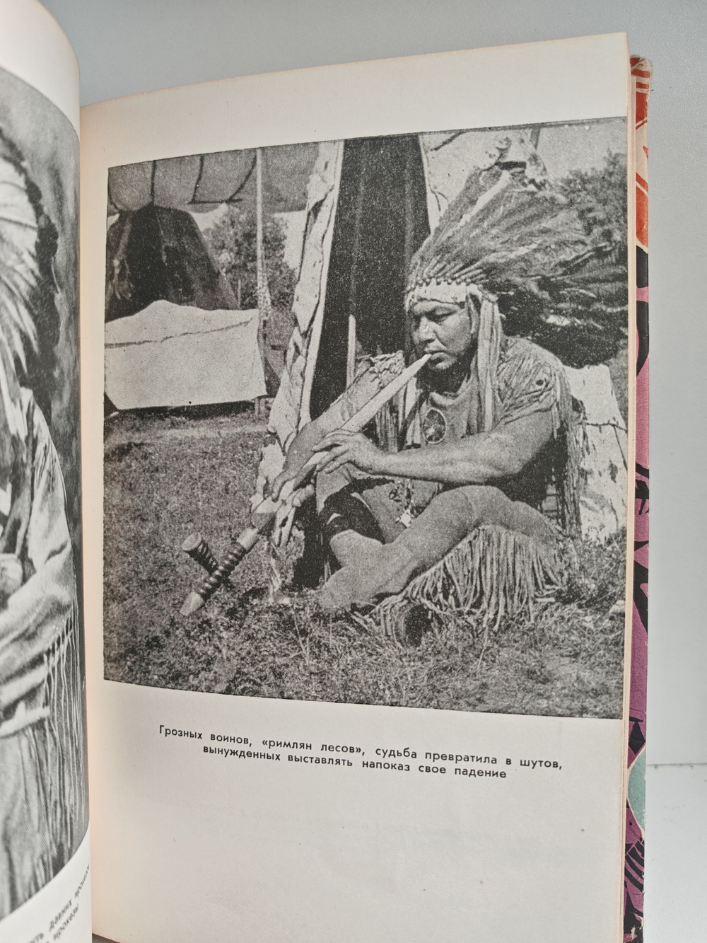 Канада пахнущая смолой