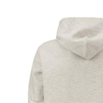 Толстовки Polo Ralph Lauren FW22 Logo, 710888282-003