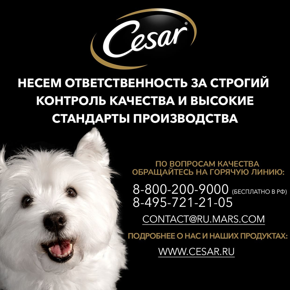 Тушеная телятина с овощами, 85гр влажный корм для собак, Cesar