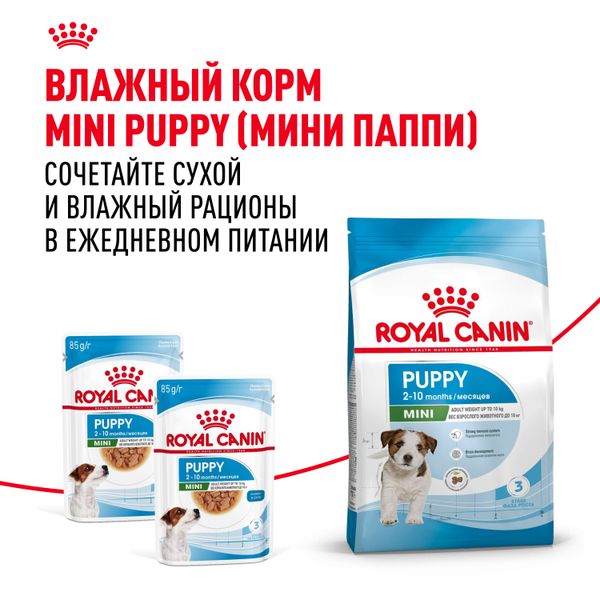 Сухой корм Royal Canin Mini Puppy для щенков мелких пород в возрасте до 10 месяцев