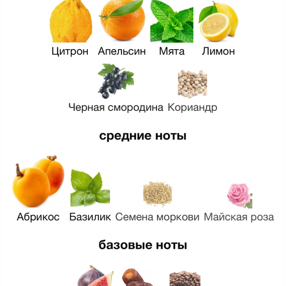 Louis Vuitton Pacific Chill