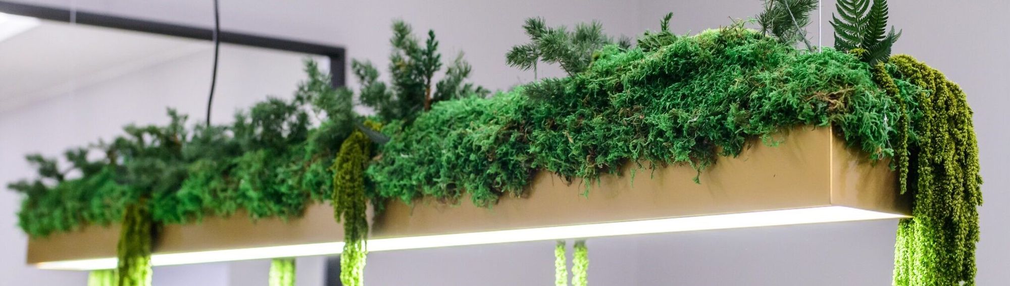 Слайды Блок 9