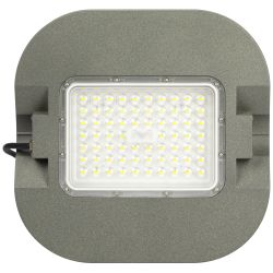 Светильник светодиодный садово-парковый ЭРА SPP-505-0-50K-050 50Вт 7000лм 5000K IP65 КСС Д серый | Садово-парковые светильники