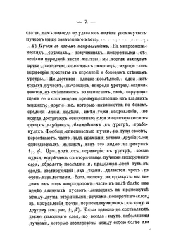 Микроскопическое исследование поперечно-полосатых мышц в предстательной железе человека | Зубовский Никифор Захарович