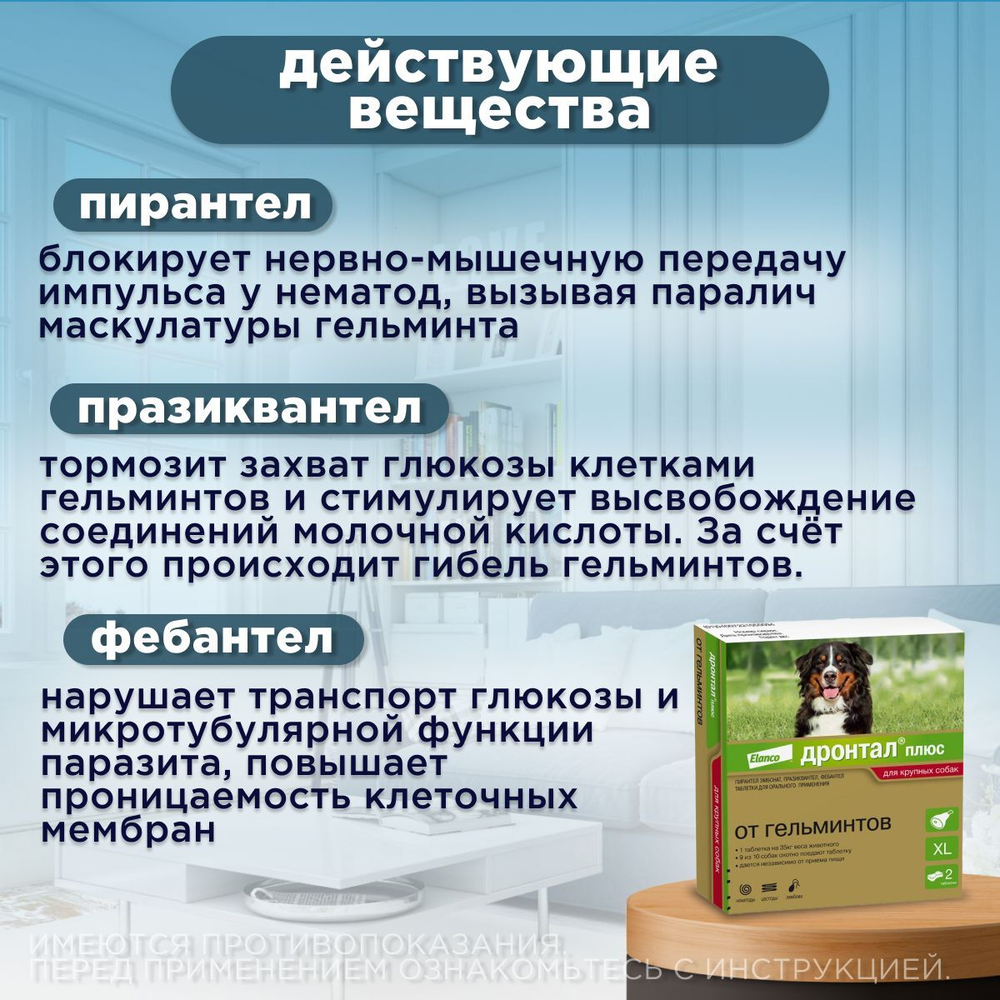 Таблетки для собак от гельминтов и лямблий со вкусом мяса Дронтал плюс XL , 2 таблетки в упаковке. Фебантел/Пирантел/Празиквантел