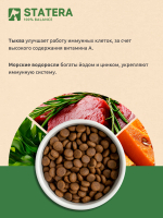 STATERA (Статера) Сухой корм для для взрослых собак средних и крупных пород с ягненком, 15 кг