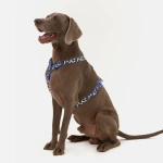 Анатомическая шлейка Midnight Safari