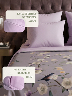Пение птиц и мягкий оттенок фиолетового цвета