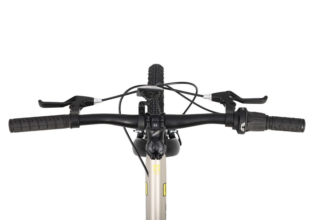 Maxiscoo 5BIKE 20'' L200 (2025)