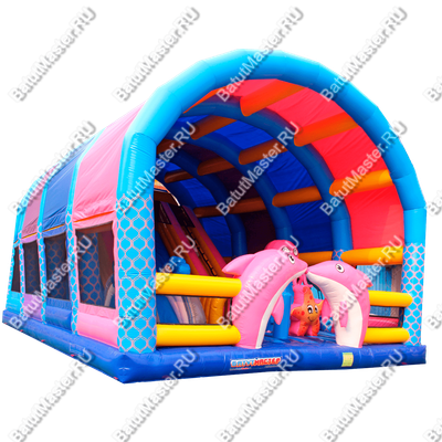 Надувной батут с крышей "Дельфинарий" 11*8*7 м