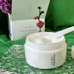 Универсальный увлажняющий крем для лица 7 в 1 ICHI Essential Aqua Cream