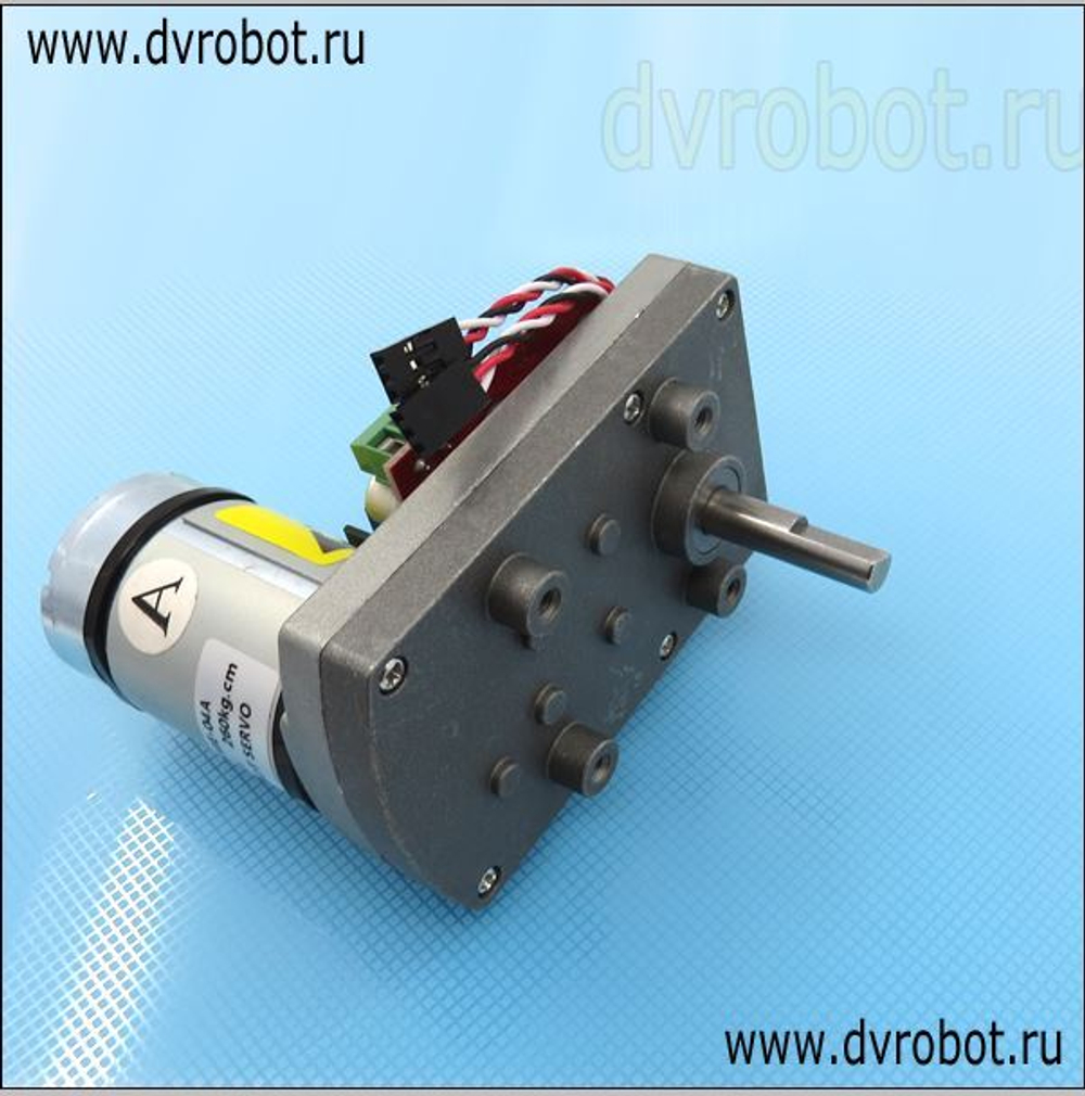 Сервопривод ASME/12-24В 260кг/см
