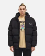 Пуховик Anteater AW25 Downjacket Hooded Crispy черный