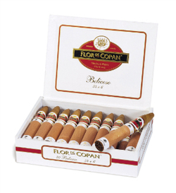 Flor de Copan Belicoso