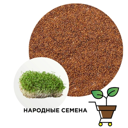 Люцерна Люба (семена)
