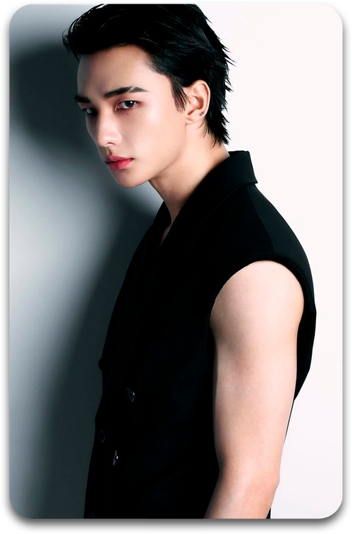 Карта / STRAY KIDS #4662