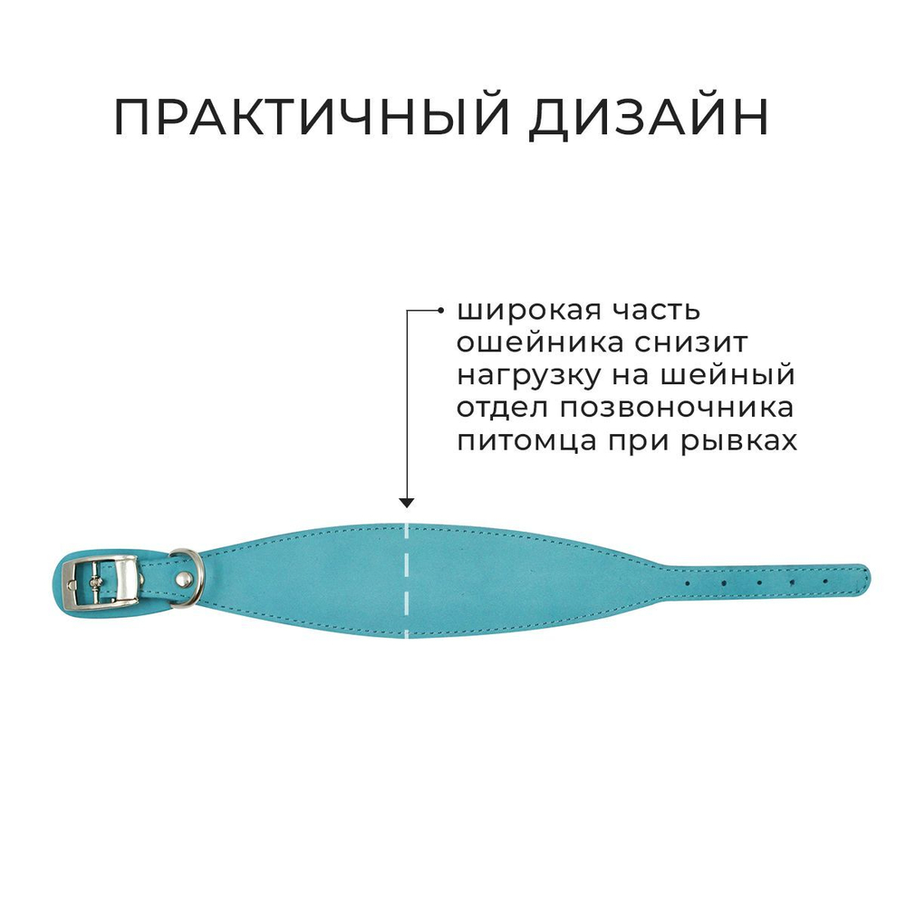 Ошейник ZOOEXPRESS Color Line Камбала нубук - бирюзовый