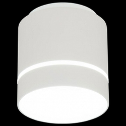 Накладной светильник Citilux CL745020N