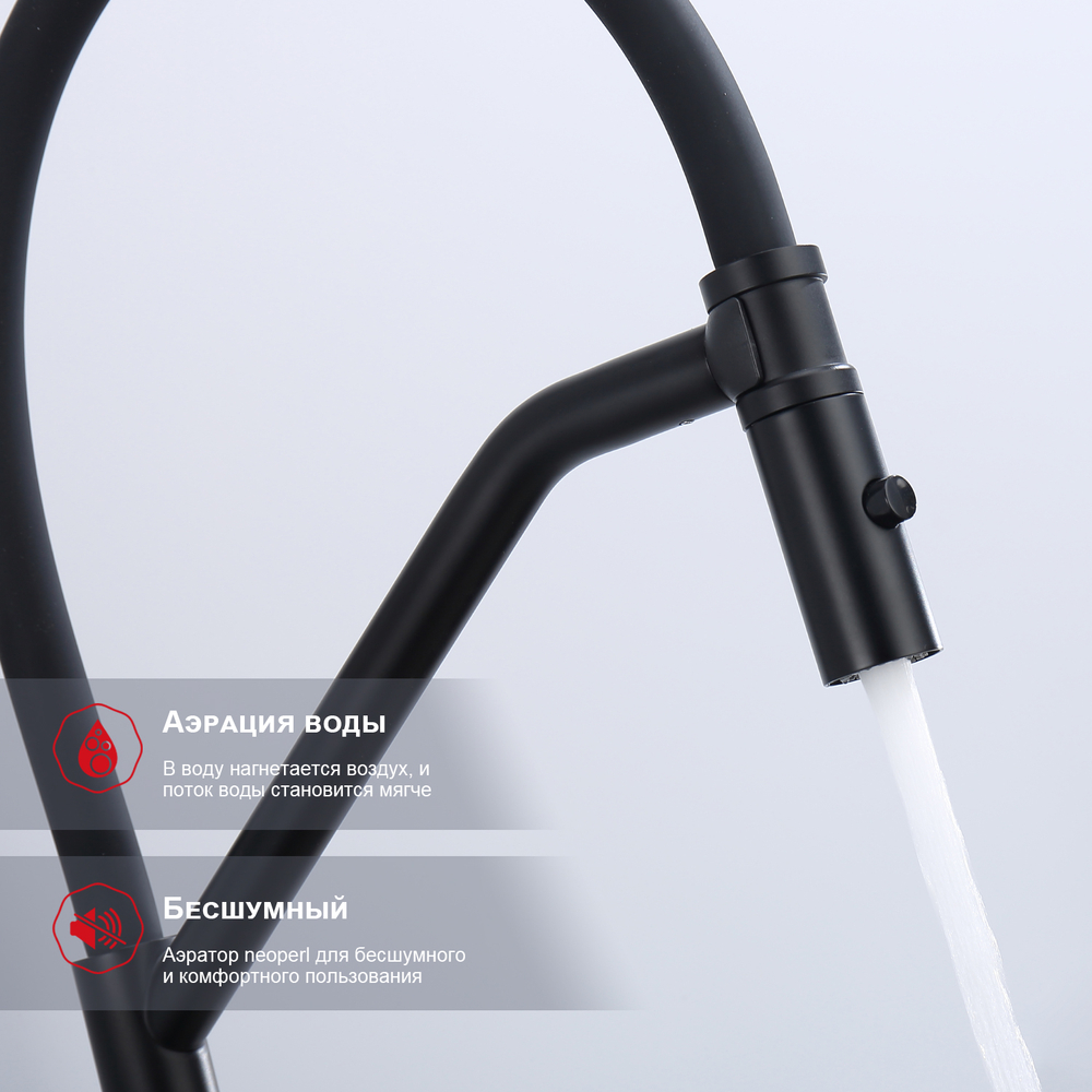 Смеситель для кухни со съемным изливом на магните Raglo R86.41.06, черный