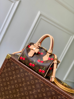 Louis Vuitton Speedy 20