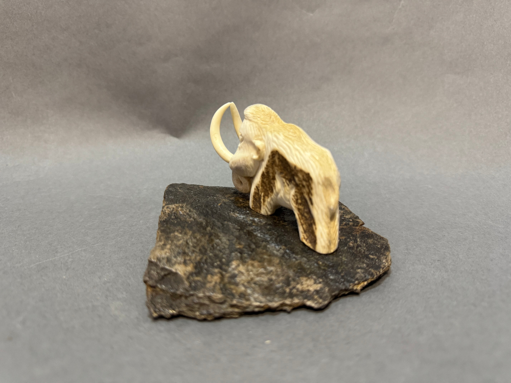 Мамонт шерстистый №7