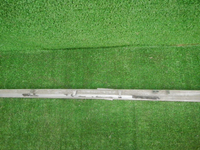 DSCN7841.JPG